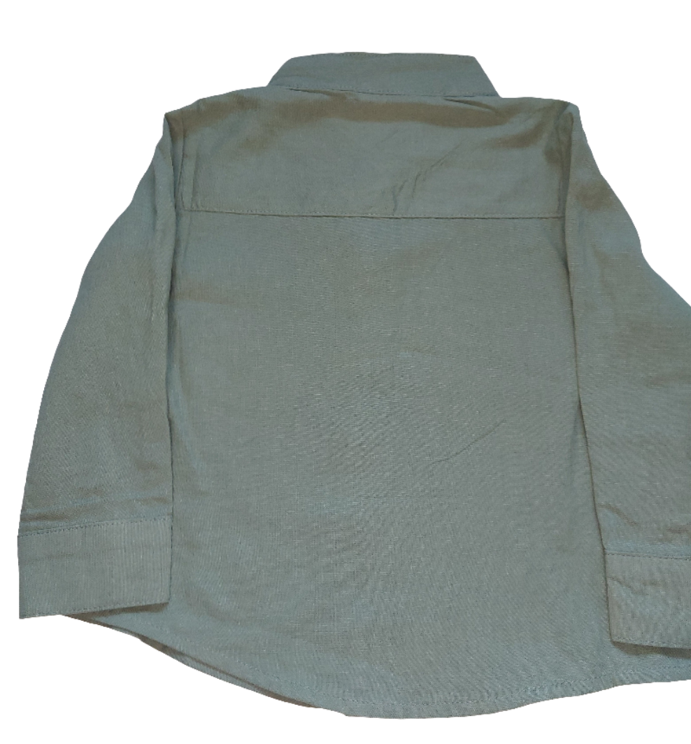 Katoenen overhemd in lichtgroen