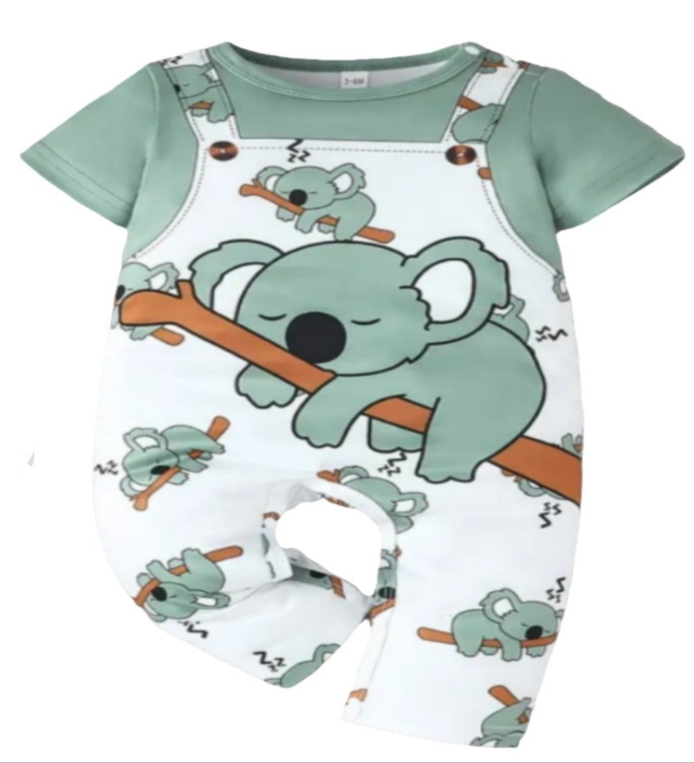 Boxpak groen met Koala beer